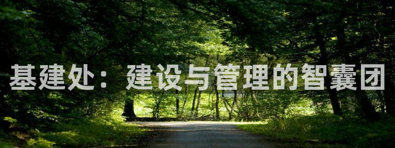 和记娱的确好h88285官网