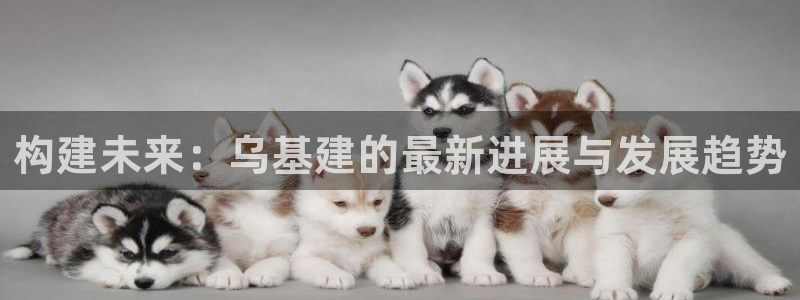 和记电讯three官网