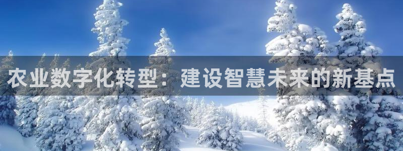 和记大合城dk2官网